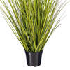 Green/Brown Switchgrass Potted - view 4 of 6