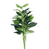 36" Pothos Plant - view 1 of 3