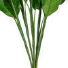 3' Spathiphyllum Plant X 5 W/40 Lvs - view 3 of 4