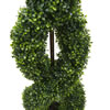 Vickerman Boxwood Double Spiral Everyday Topiary - view 3 of 5
