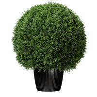 Single Ball Topiaries