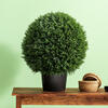 Vickerman Artificial Cedar Ball In Pot UV - view 2 of 7