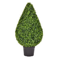 Teardrop Bushes