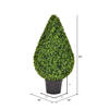 Vickerman Boxwood Teardrop Shaped Bush - view 4 of 5