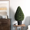 Vickerman Boxwood Teardrop Shaped Bush - view 2 of 5