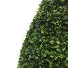 Vickerman Boxwood Teardrop Shaped Bush - view 3 of 5