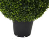 Vickerman Boxwood Teardrop Shaped Bush - view 5 of 5