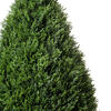 Vickerman Cedar Teardrop Shaped Bush - view 6 of 7