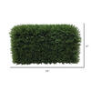 Vickerman Everyday Green Cedar Hedge - view 3 of 5