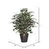 Vickerman Artificial Variegated Ficus Extra Full Series - view 5 of 5