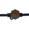 Vickerman C9 Commercial Sockets on Black Wire - view 2 of 4