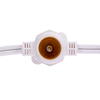 Vickerman C9 Commercial Sockets on White Wire - view 2 of 4