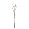 60Lt 3Pc 36" LED WWt-Twkle WA Bw Twig Lt - view 1 of 3