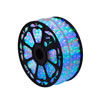 Vickerman LED Rope Light - view 1 of 2
