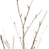 Vickerman LED Brown Frosted Twig Tree - view 3 of 4