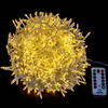 Vickerman 1000 Light LED Indoor/Outdoor 8-Function Snake Light Set. - view 2 of 7