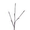 Vickerman Brown Icy Twig Tree LED Outdoor WW - view 2 of 5