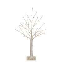Champagne Icy Trees