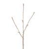Vickerman Champagne Icy Sugar Glitter Twig Tree WW LED - view 2 of 5