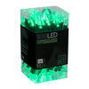 Vickerman Italian LED Single Mold Green Wire Christmas Light Set - view 4 of 6