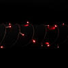 Vickerman Single Mold Wide Angle LED Christmas Light Set, Wire Poly Bag - view 3 of 3