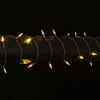 Vickerman Single Mold Italian LED Christmas Light Set Brown Wire Poly Bag - view 2 of 3