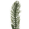 Vickerman Artificial 36" Colorado Spruce Teardrop - view 3 of 4