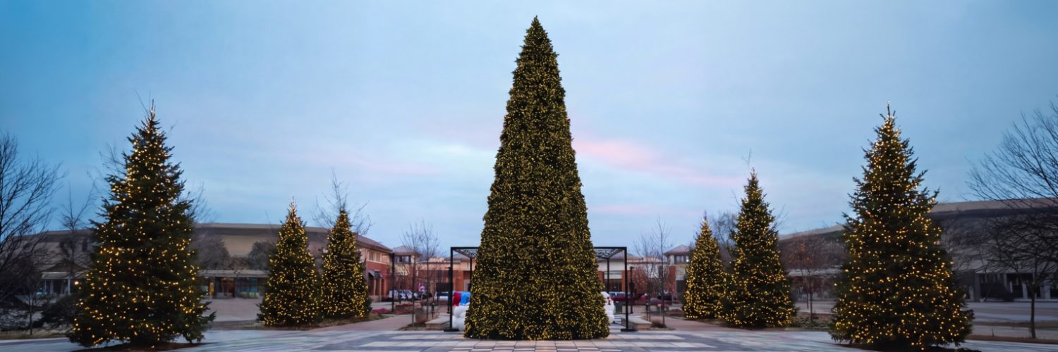 Commercial Trees