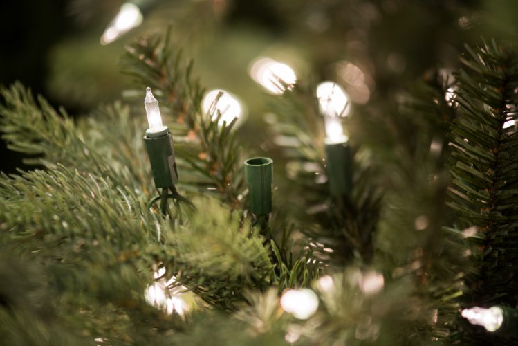Seasonal Lighting