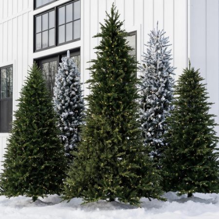 Christmas Trees