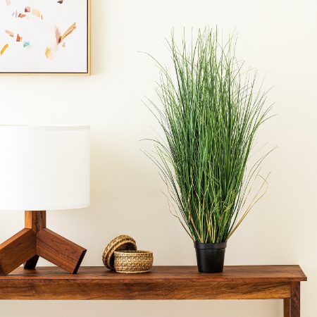 Grasses & Reeds