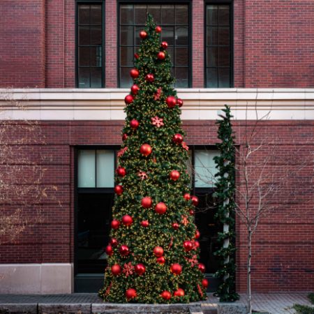 Commercial Trees